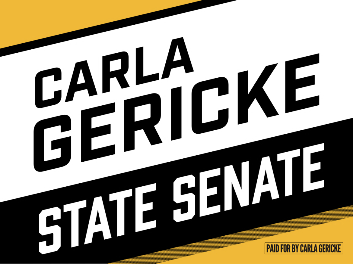 cg4ss_banner Carla Gericke for NH Senate