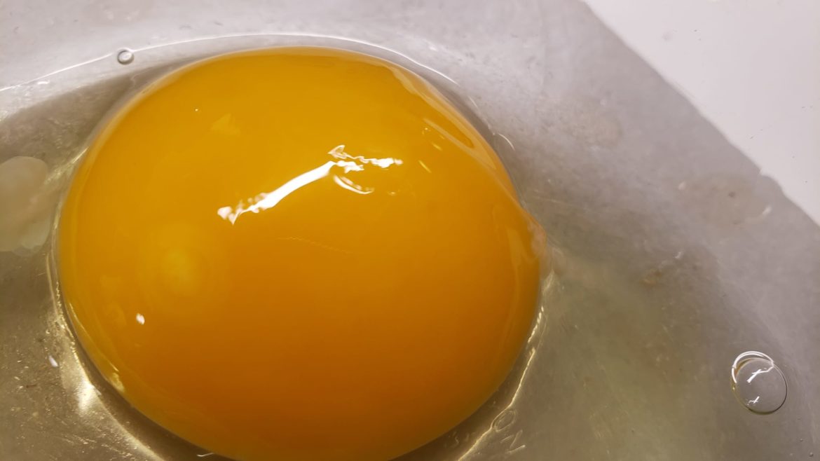 319824054_614379074024672_3318404591777607595_n