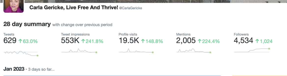 TWITTERENGAGEMENTPOSTSHADOWBAN
